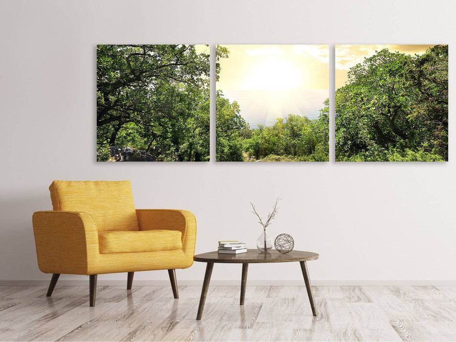 Panorama 3-piece canvas picture At the end of the forest