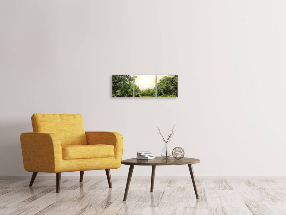 Panorama 3-piece canvas picture At the end of the forest