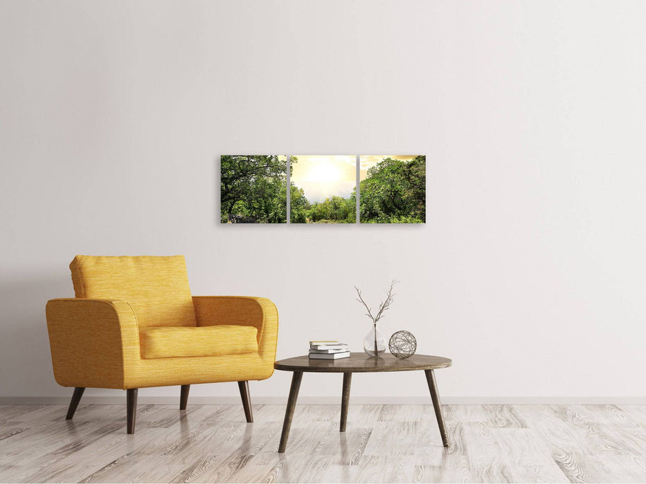 Panorama 3-piece canvas picture At the end of the forest