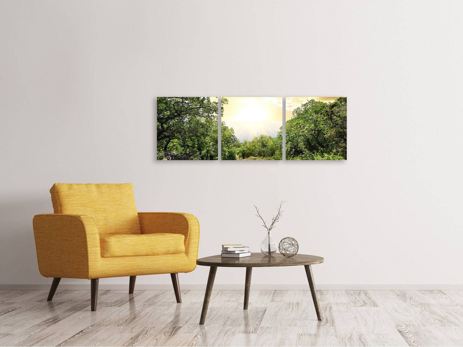 Panorama 3-piece canvas picture At the end of the forest