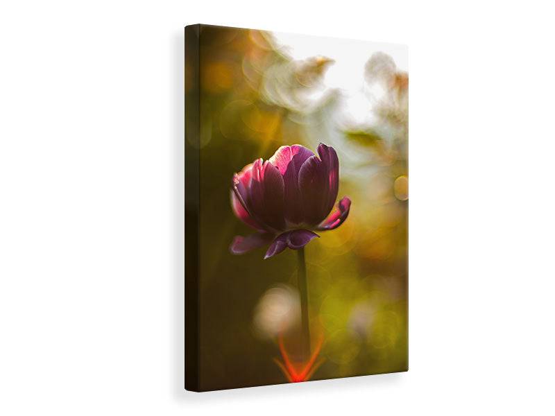 Tableaux sur toile Tulipes sombres beauté