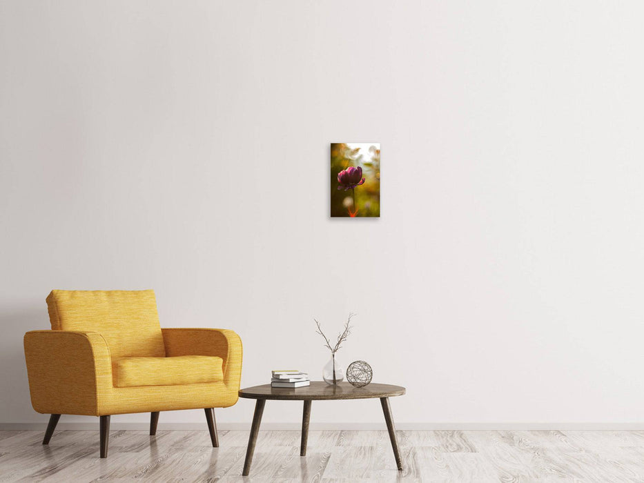 Tableaux sur toile Tulipes sombres beauté