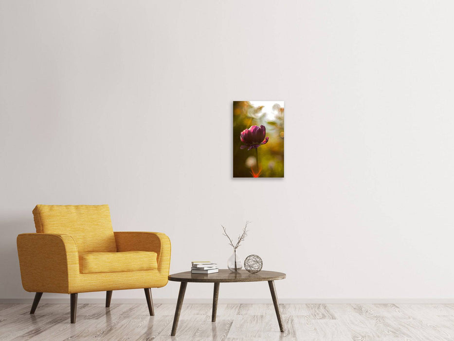 Tableaux sur toile Tulipes sombres beauté