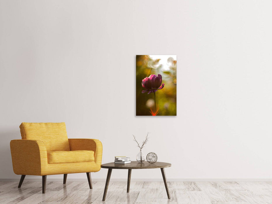 Tableaux sur toile Tulipes sombres beauté