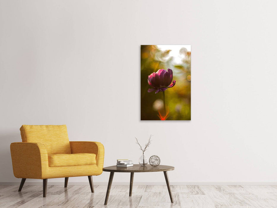 Tableaux sur toile Tulipes sombres beauté