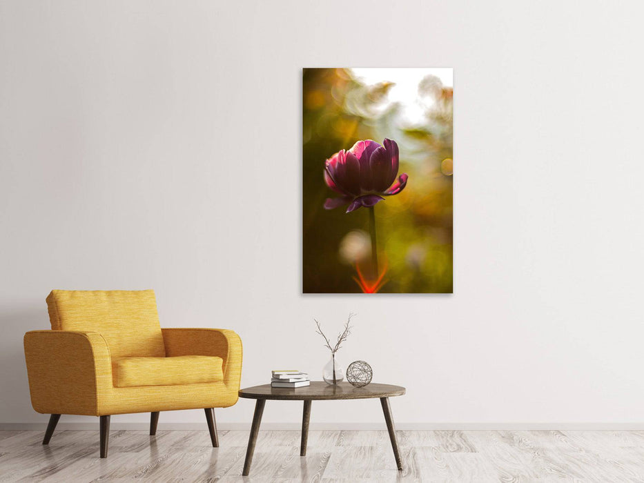 Tableaux sur toile Tulipes sombres beauté