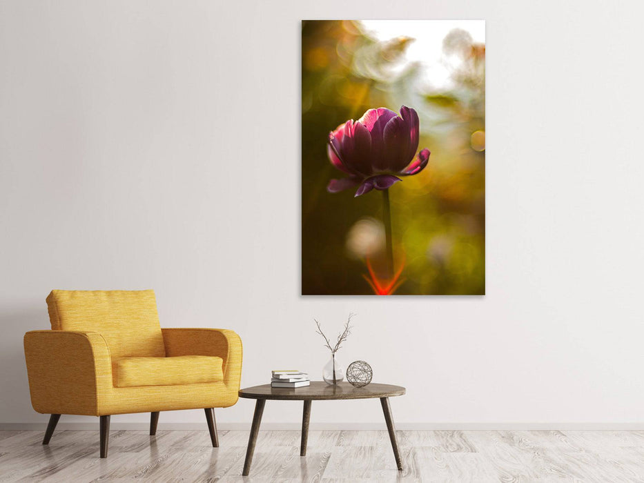 Tableaux sur toile Tulipes sombres beauté