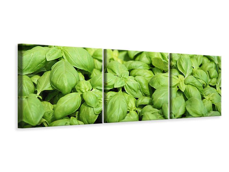 Panoramic 3-piece canvas picture All basil