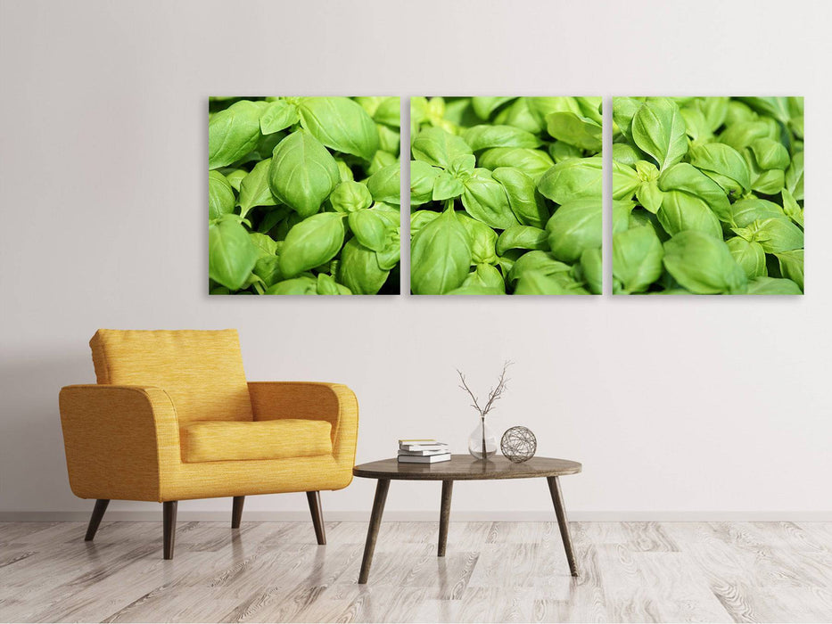 Panoramic 3-piece canvas picture All basil