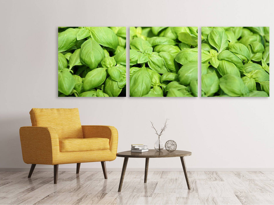 Panoramic 3-piece canvas picture All basil