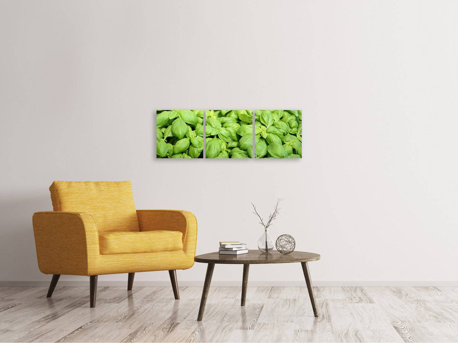 Panoramic 3-piece canvas picture All basil