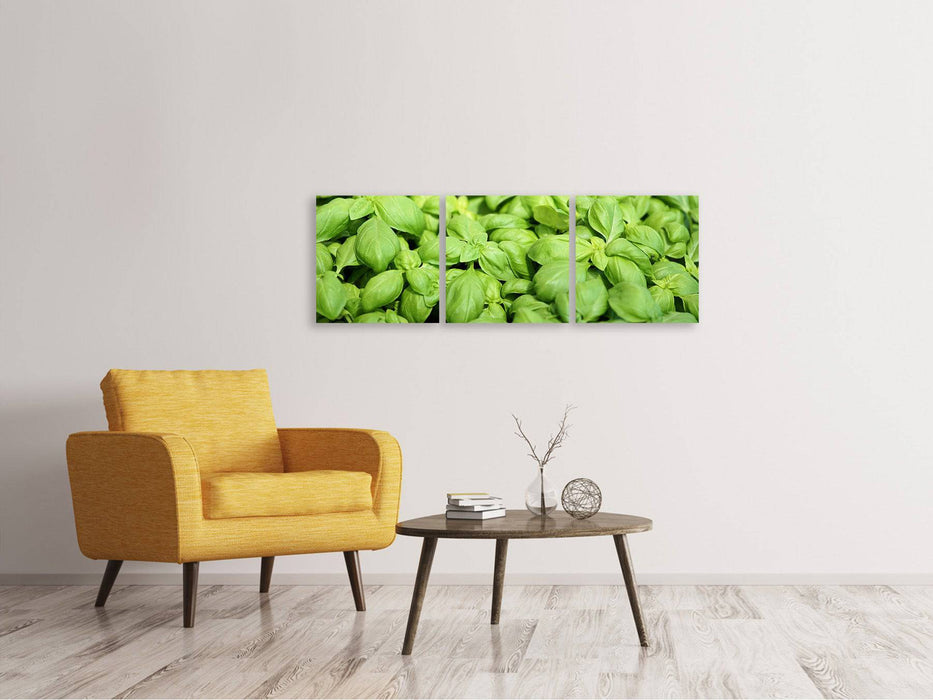 Panoramic 3-piece canvas picture All basil