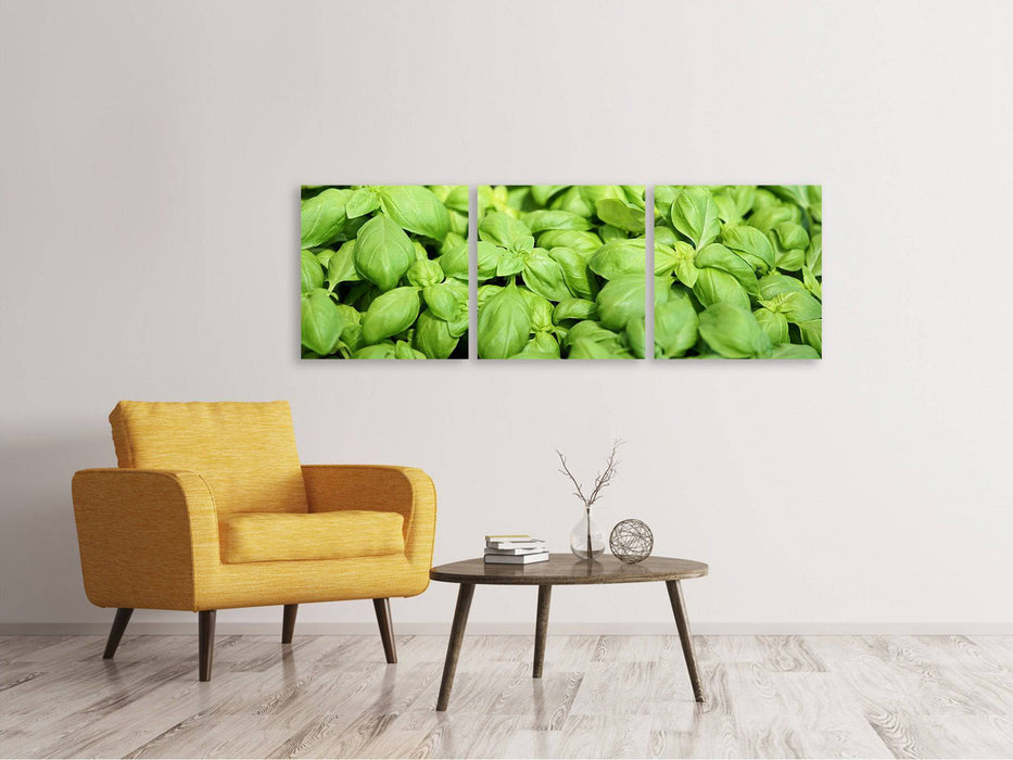 Panoramic 3-piece canvas picture All basil