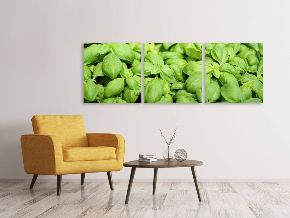 Panoramic 3-piece canvas picture All basil