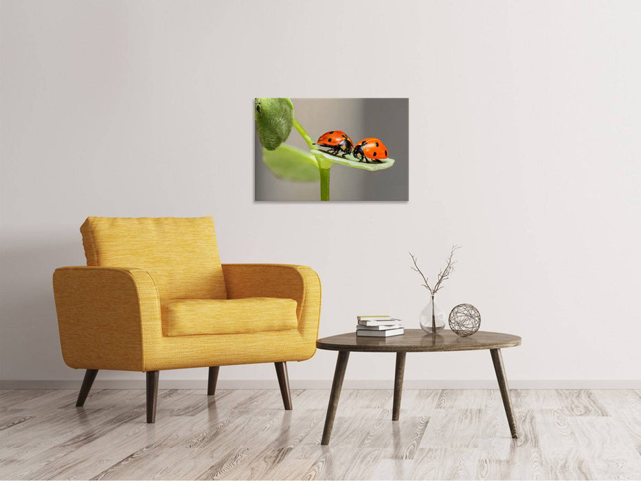 Canvas print 2 ladybugs