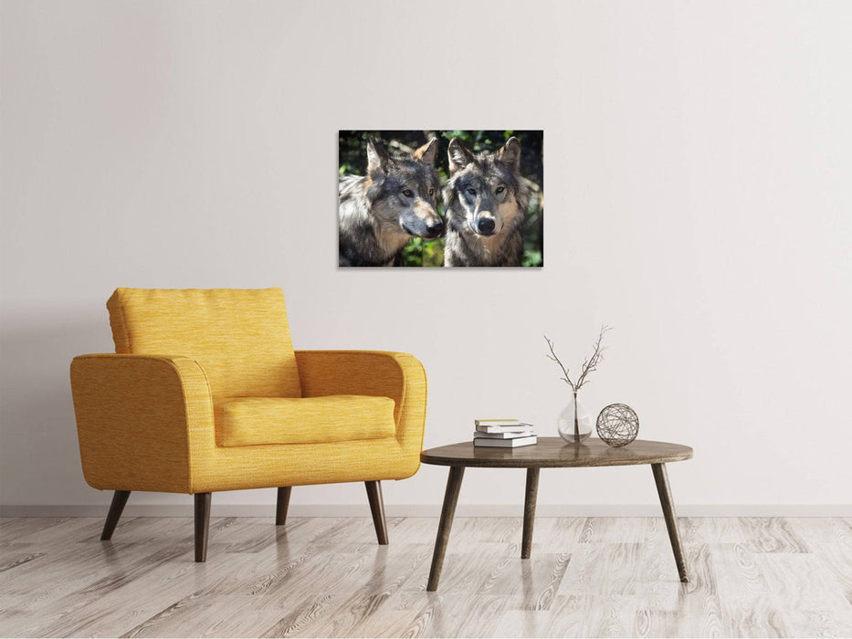 Tableau sur toile 2 loups