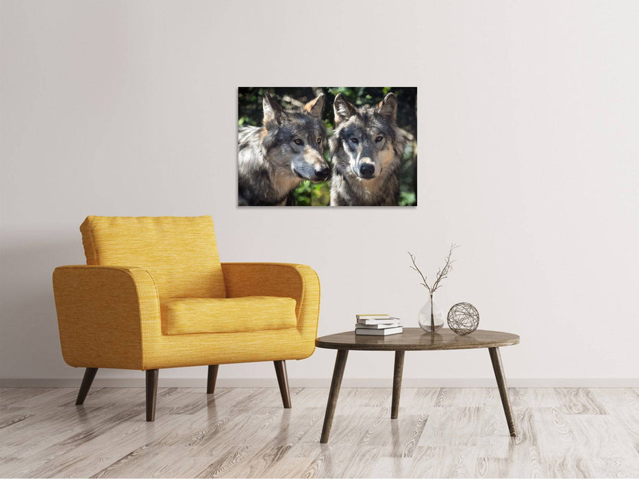 Tableau sur toile 2 loups