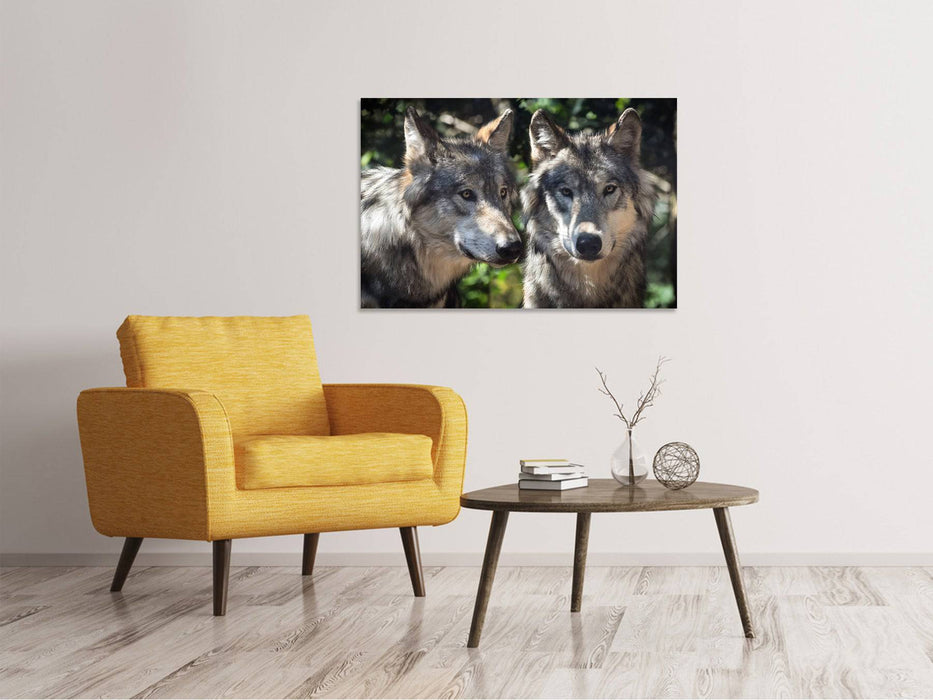 Tableau sur toile 2 loups