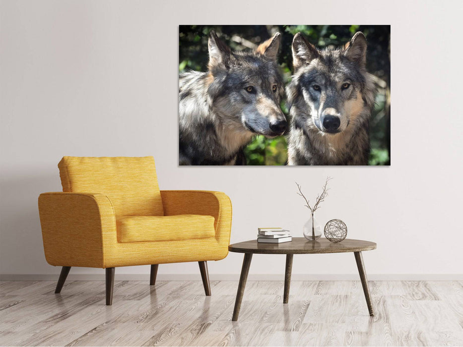 Tableau sur toile 2 loups