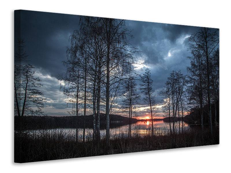 Canvas print Trees by the lake