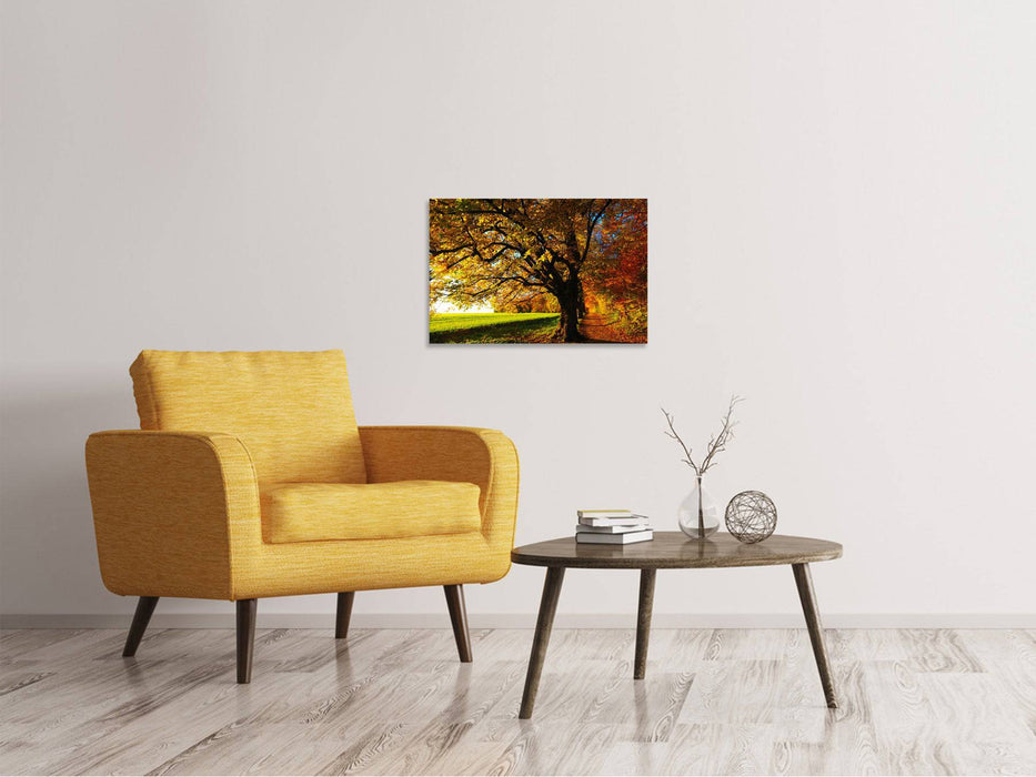 Tableaux sur toile Arbres en automne