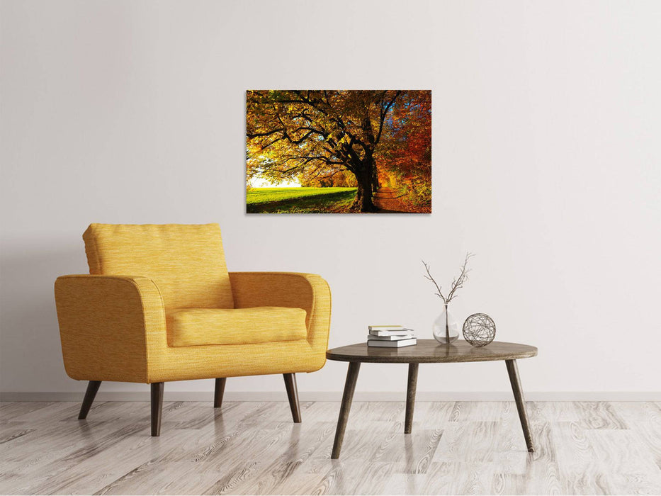 Tableaux sur toile Arbres en automne