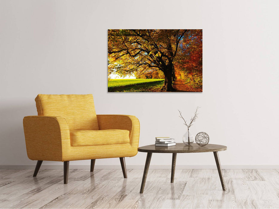 Tableaux sur toile Arbres en automne