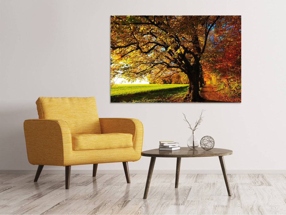 Tableaux sur toile Arbres en automne