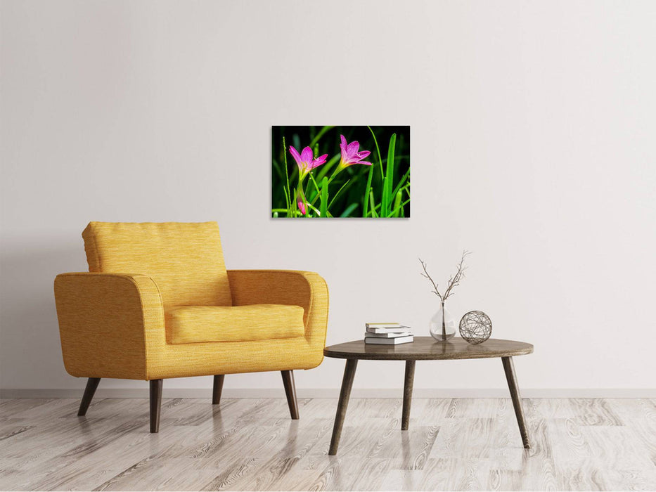 Canvas print flowers in nature