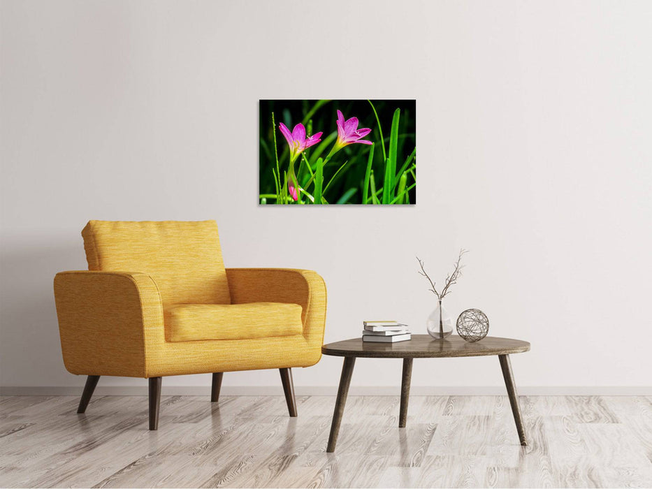 Canvas print flowers in nature