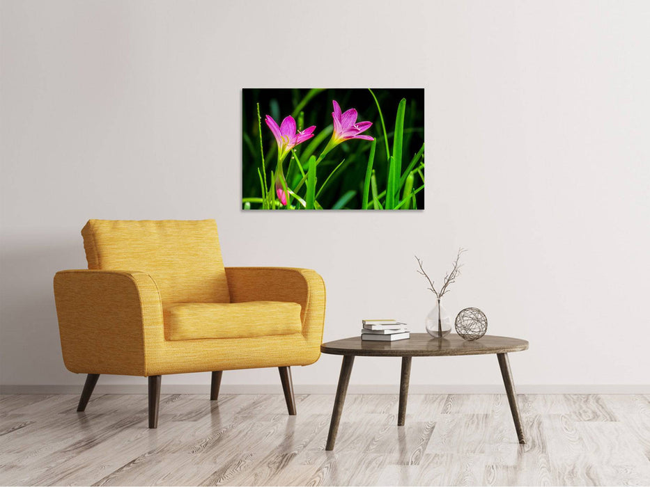 Canvas print flowers in nature