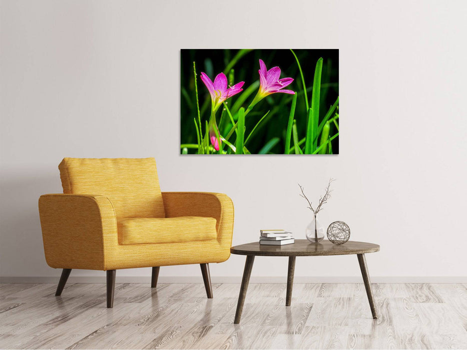 Canvas print flowers in nature