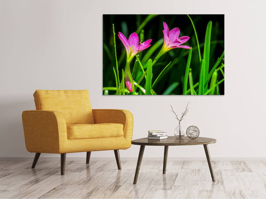 Canvas print flowers in nature