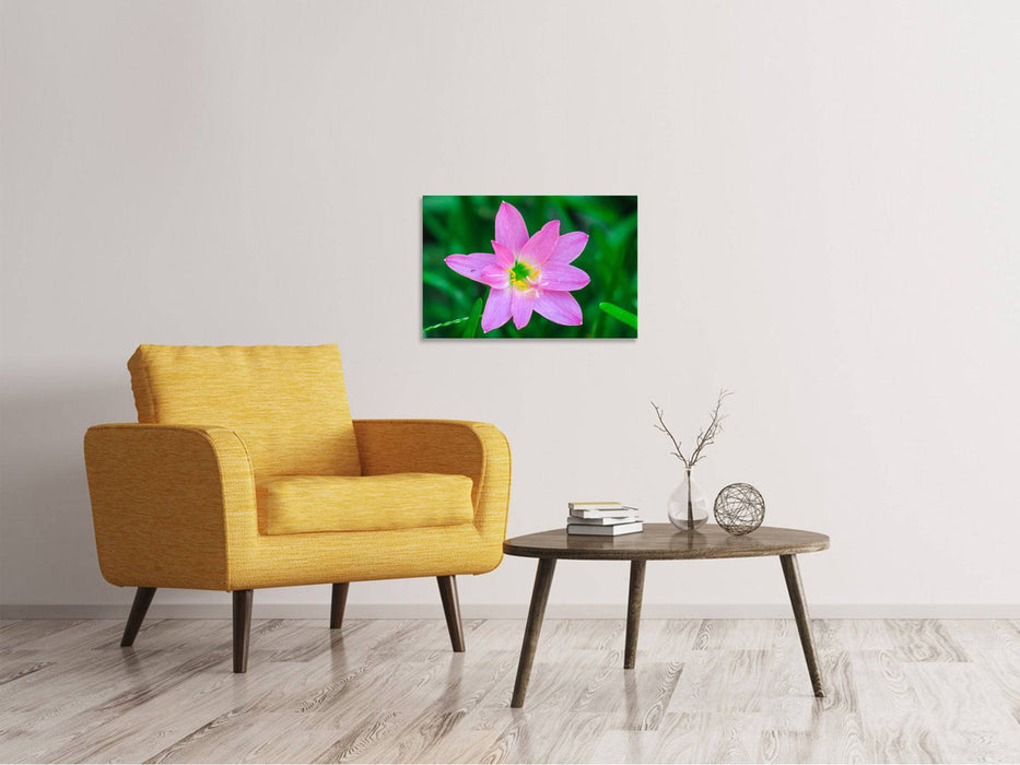 Canvas print Close up pink flower