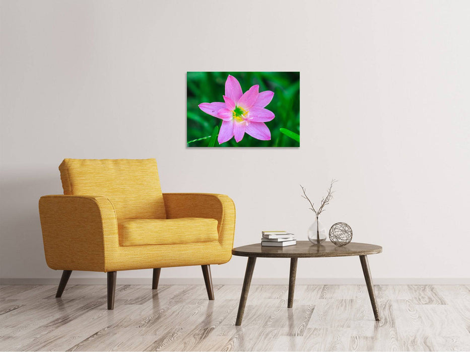 Canvas print Close up pink flower