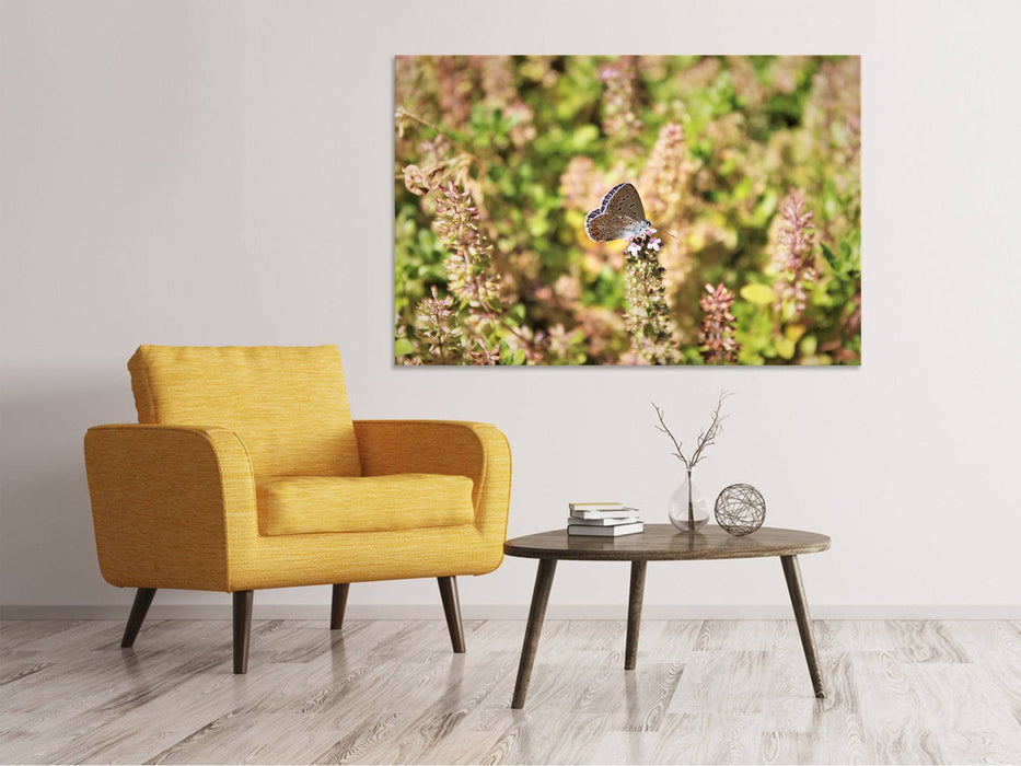 Canvas print The Bluebird