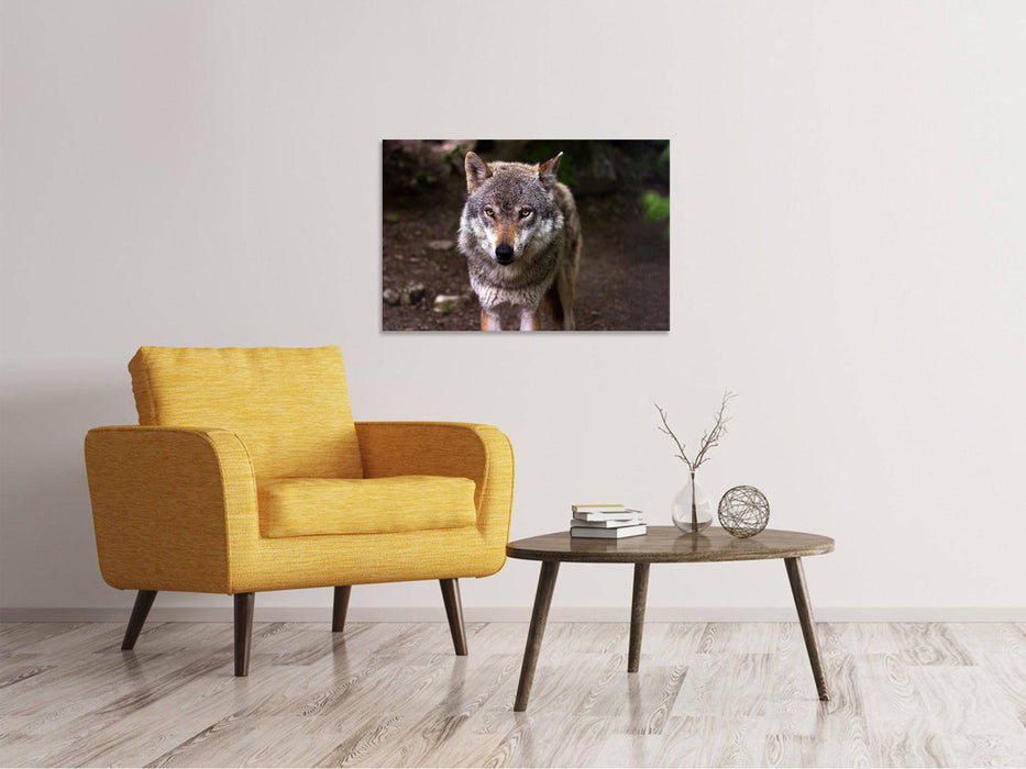 Tableau sur toile Le grand méchant loup