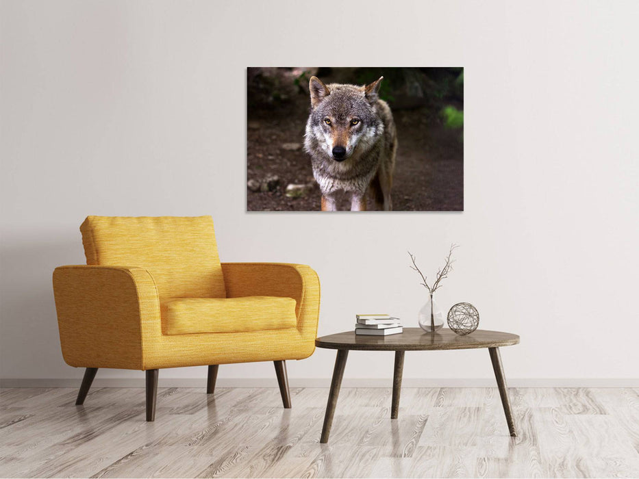 Tableau sur toile Le grand méchant loup