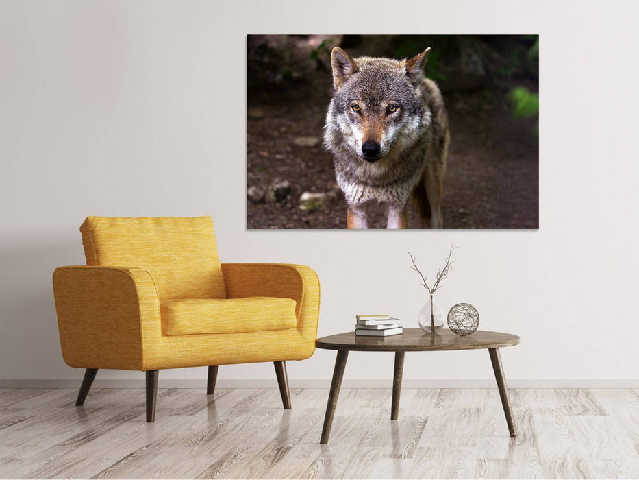 Canvas print The Big Bad Wolf