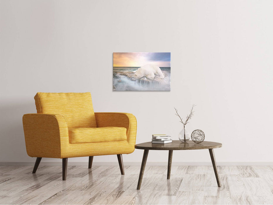 Tableaux sur toile L'ours polaire et la mer