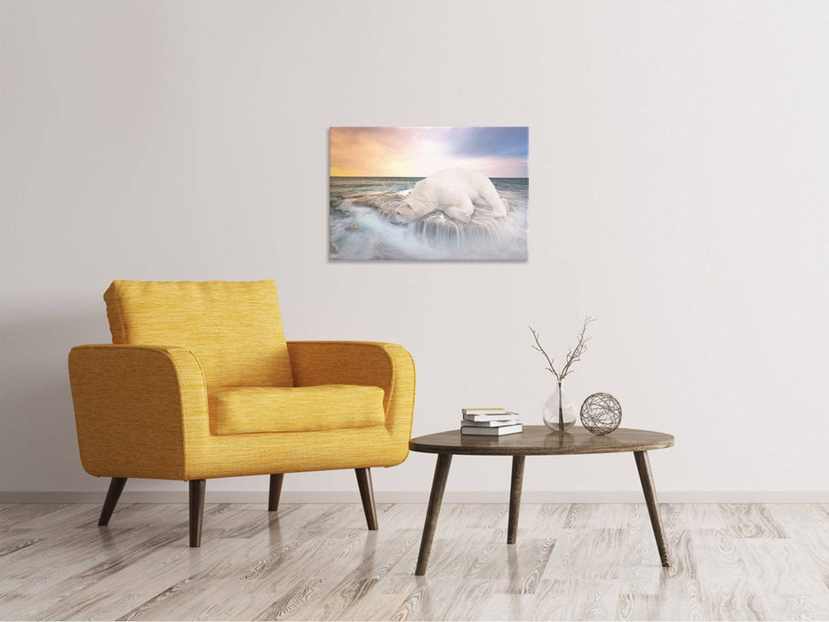 Tableaux sur toile L'ours polaire et la mer