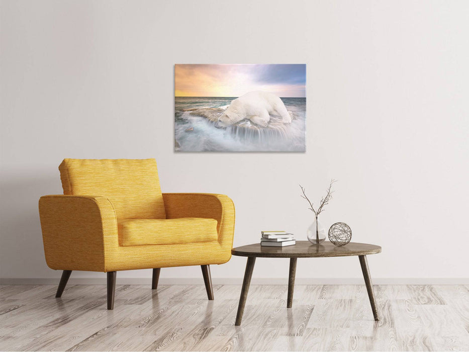 Tableaux sur toile L'ours polaire et la mer