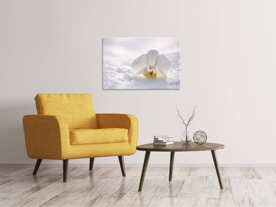 Canvas print The orchid blossom