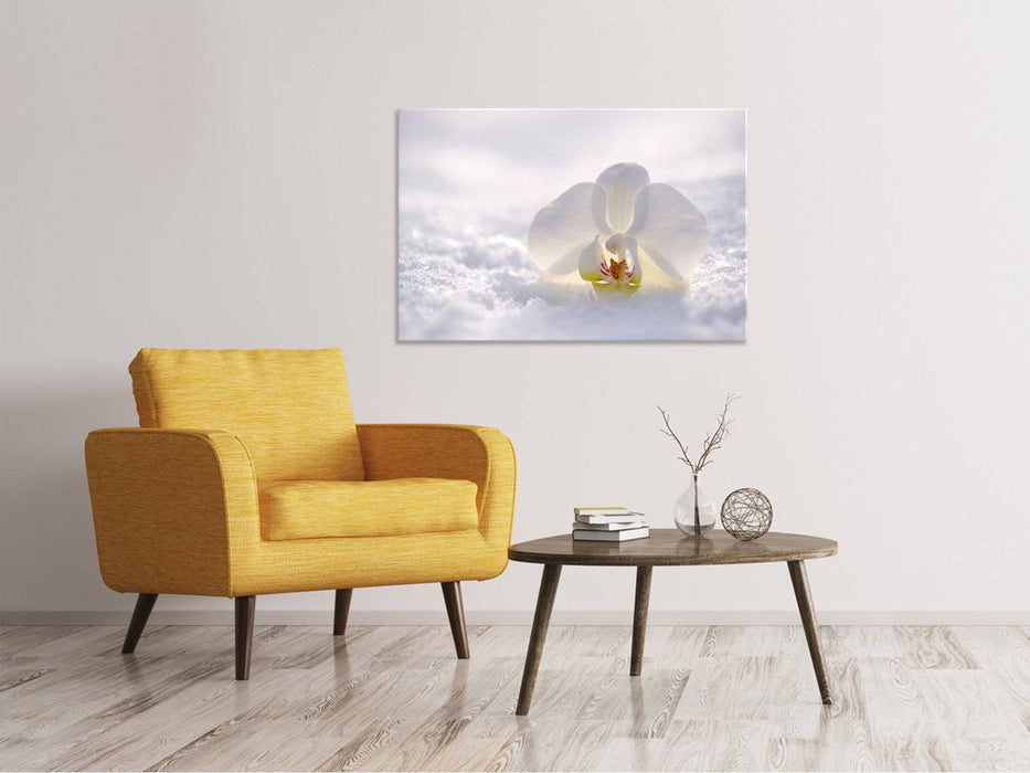 Canvas print The orchid blossom