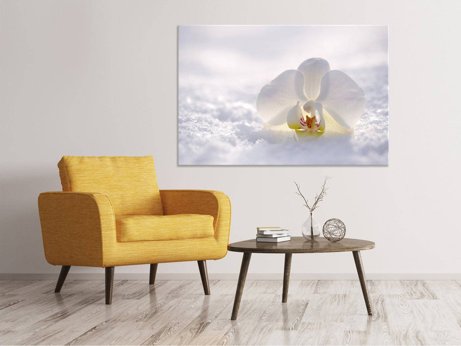 Canvas print The orchid blossom