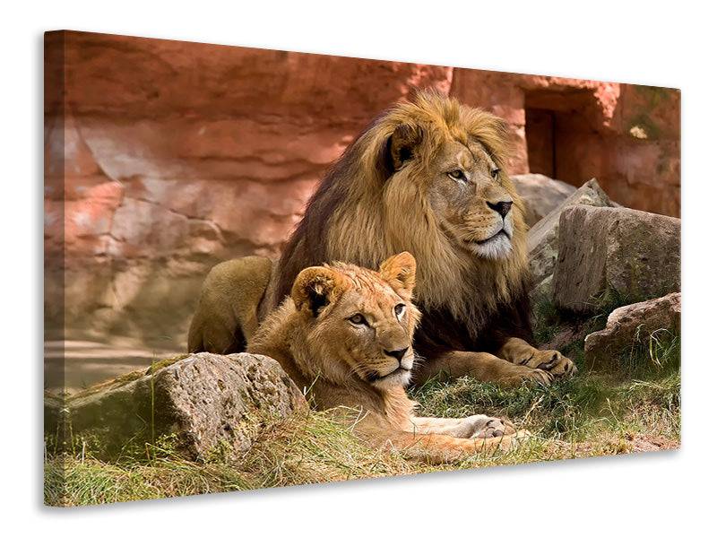 Canvas print A pair of lions