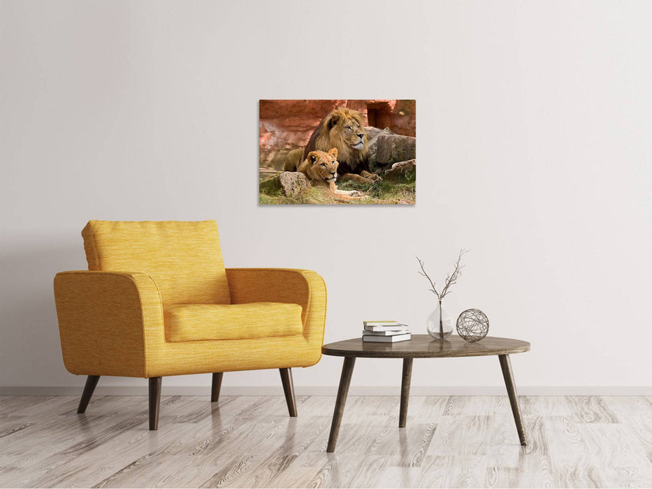 Canvas print A pair of lions