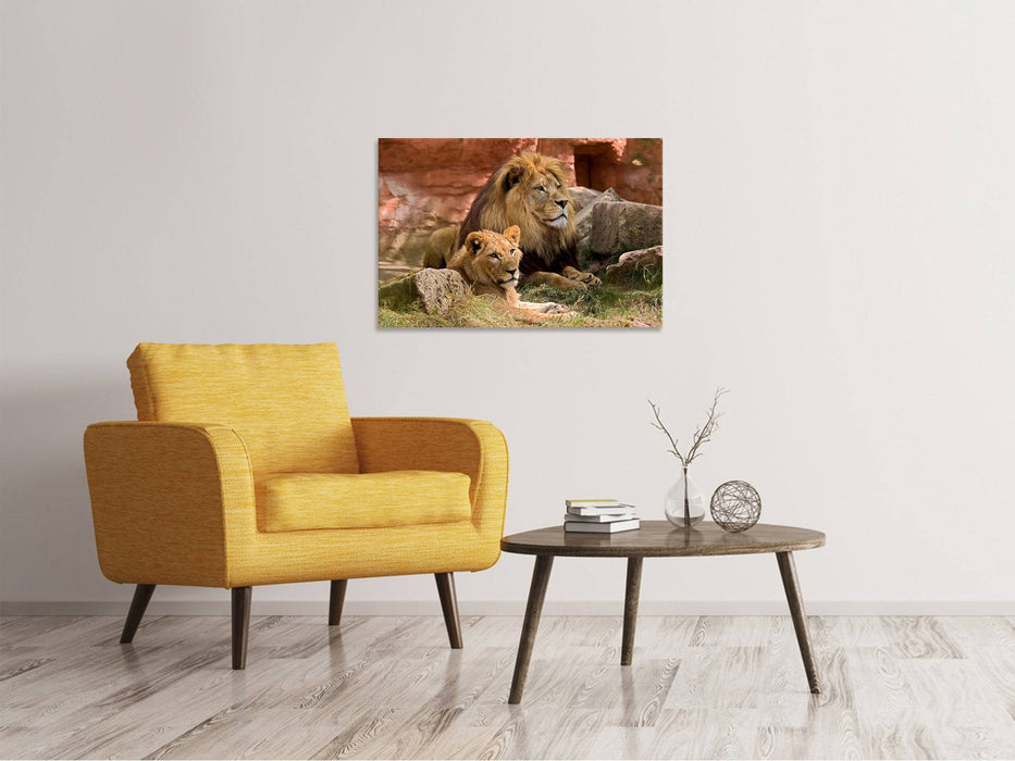 Canvas print A pair of lions