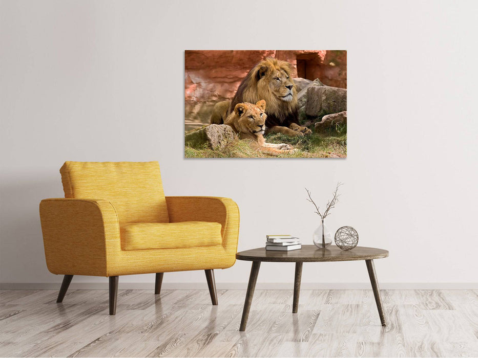 Canvas print A pair of lions