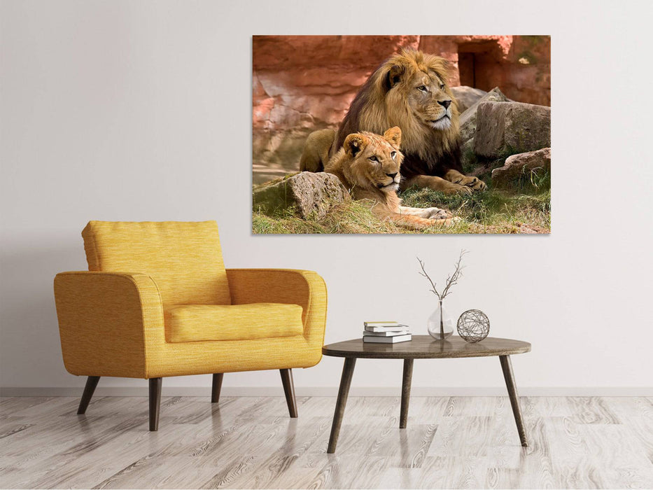 Canvas print A pair of lions